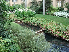 246 Longwood Gardens [2008 August 23]